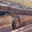 1998-caterpillar-d8r-xl-image-24