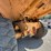 #9-•-2008-cat-a40e-artic-dump-truck-image-24