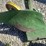 john-deere-two-bottom-plow-image-10