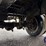 great-dane-48-image-22