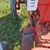 ford-8n-image-23