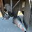 2008-kenworth-t300-image-12