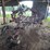 #74-•-case-4300-field-cultivator-image-1