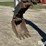 2004-bobcat-435g-image-12