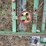 #102-•-corley-track-sawmill-image-7