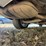 #46833-•-2018-chevrolet-impala-lt-sedan-2g1105s38j9109671-inv#46833-image-18