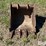 bobcat-435g-image-2