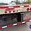 great-dane-48-image-7