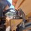 #9-•-2008-cat-a40e-artic-dump-truck-image-19