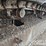 2014-komatsu-pc210-lc-10-image-21