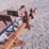 #2083-•-allis-chalmers-3-point-cultivator-image-5