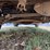 2008-chevrolet-tahoe-image-18