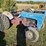 ford-800-image-7