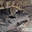 2013-volvo-ec220dl-image-10