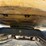2014-caterpillar-305-image-21