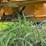 waldon-sweepmaster-image-27