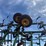 john-deere-40-image-5