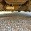 2007-caterpillar-c7-image-14