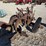 oliver-two-way-plow-image-3