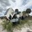 2020-terex-ta300-image-1