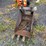 backhoe-bucket-image-2