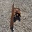 gibson-blade-image-2