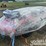 unused-captok-ck-gc42s-image-5