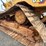 2020-caterpillar-d5-lgp-image-8