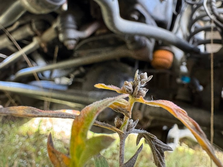 2019-ford-f350-xl-image-45