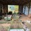 #102-•-corley-track-sawmill-image-6