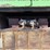 2008-kenworth-t300-image-5
