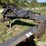 2006-bison-nvhl300xhd-image-17