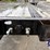 great-dane-48-image-16