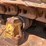 caterpillar-d8k-image-27
