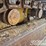 2001-komatsu-d61ex-12-image-21