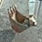 bobcat-b250-image-22