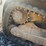 2016-takeuchi-tl10v2-image-11