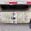 great-dane-48-image-26