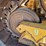 2016-caterpillar-d6t-xl-image-36