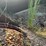 #10582-•-hi-bilt-t/a-~22'-dump-trailer-inv#10582-image-17