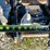 caterpillar-12-image-14