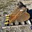 caterpillar-24-image-2