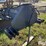 2006-bison-nvhl300xhd-image-9