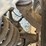 2014-ford-f150-xlt-image-9