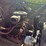1979-international--model-1924-tandem-grain-truck,-81,877-miles,-4x4-manual-transmission,-gas,-roll-tarp-image-17