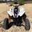 polaris-trail-blazer-250-image-2