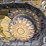 2021-caterpillar-d2-image-24