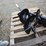 sdlanch-auger-image-4