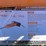 unused-landhonor-mhb-71-40d-image-1