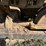 1978-deere-555a-image-25